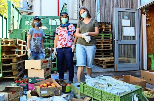 Marion Würth, Pia Hyvärinen und ihre Tochter Joana (v.r.), die auch manchmal mithilft, stehen vor Kisten mit geretteten Lebensmitteln Foto: Tilman Baur