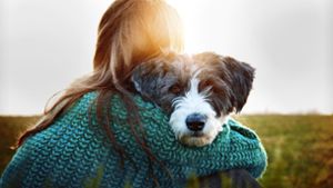 Kuscheln mit Hund tut gut: Beim Kuscheln und Streicheln wird das Bindungshormon Oxytocin ausgeschüttet. Das sorgt für Angst- und Stressreduktion. Foto: May-Britt Winkler