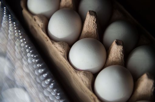 Millionen mit dem Insektizid Fipronil belastete Eier sind unter anderem nach Baden-Württemberg gelangt und wurden inzwischen aus dem Handel genommen. Foto: dpa