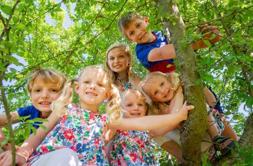 Wenn alle sechs Kinder auf den Baum im Garten klettern, wird’s eng. Foto: Eibner-Pressefoto/Sandy Dinkelacker