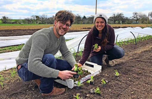 Markus und Andrea Wagner stecken Salat-Setzlinge. Die beiden haben im  Gärtnern ihre  große Leidenschaft entdeckt. Foto: Julia Spors