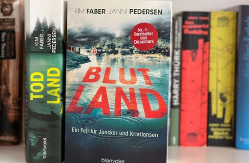 Blutland ist der dritte Thriller des Autorenduos Faber/Pedersen. Foto: Lukas Jenkner