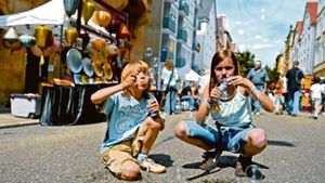 Beim Heusteigviertelfest wird am Wochenende auch für Kinder viel geboten. Foto: privat