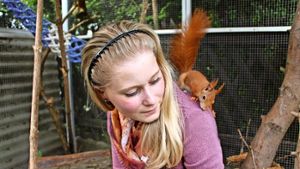 Die Tierarzthelferin Fabienne Widera ist Eichhörnchen-Expertin. Ganz viele Bilder ihrer possierlichen Tierchen gibt es in unserer Fotostrecke. Foto: Eveline Blohmer