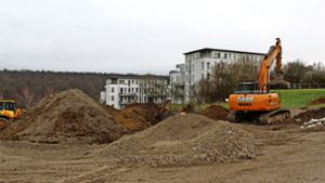 Wo einst Schrebergärten waren, sollen ab 2018 neue Wohngebäude gebaut werden, die die Wohnheime am Allmandring ergänzen. Foto: Jacqueline Fritsch