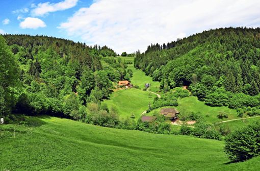 Der Wald dominiert im Wolftal und in dessen Seitentälern wie hier in der Nähe  des Glaswaldsees. Foto: Gemeinde Bad Rippoldsau-Schapbach