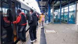 Schnell in die S-Bahn: Das ist in Herrenberg endlich wieder möglich. Foto: /Stefanie Schlecht