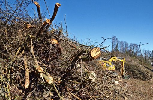 Zahlreiche Bäume und Sträucher an den Böschungen fielen der Säge zum Opfer. Foto: Sandra Hintermayr