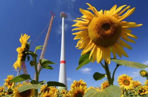 Der Bau einer Windkraftanlage in Brandenburg. Künftig soll dies dank dem europäischen Green Deal  leichter finanzierbar sein. Foto: dpa/Patrick Pleul