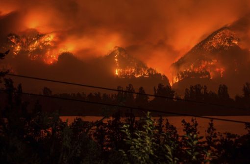 Das Verursachen eines Waldbrandes kann teuer werden. Foto: KATU-TV/AP