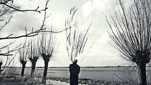 Pieter Laurens Mol, „A Row of Willows near Vinkeveen Foto: Galerie Parrotta