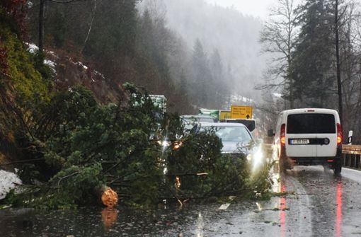 Im Schwarzwald stürzten Bäume wegen „Burglind“ auf die Straßen. Foto: dpa