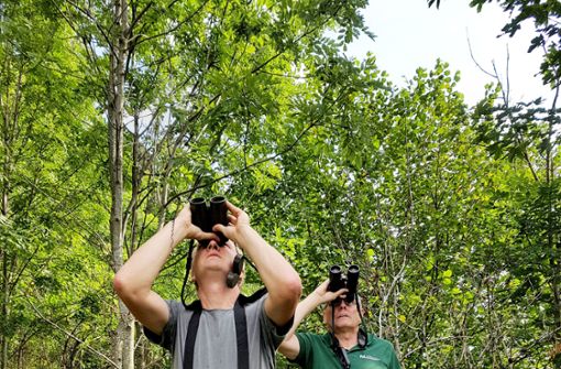 Den Forstwissenschaftlern Stefan Meining (links) und Roland Hoch macht der Zustand des Waldes in Baden-Württemberg Sorge. Foto: Adobe Stock/Fotoschlick, Nadine Zeller