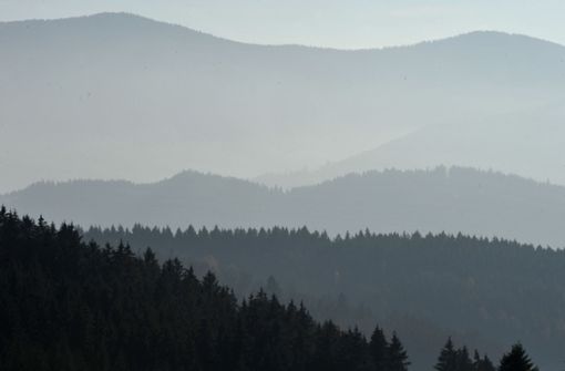 Auch der Schwarzwald wird vom Klimawandel beeinflusst. Foto: dpa