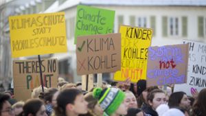 Schon  im Januar gingen die Schüler in Ludwigsburg auf die Straße. Diesmal sollen  auch Erwachsene an dem Protestmarsch teilnehmen. Foto: factum//Simon Granville