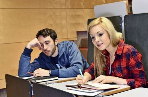 Mit dem Studium überfordert? Mit einem frühzeitigen Kenntnistest will die Uni Stuttgart helfen, Lücken zu schließen. Foto: dpa-tmn