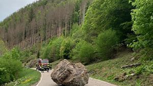 Ein großer Felsbrocken war Anfang Mai auf der Landstraße 149 bei Todtnau gelandet. Foto: dpa/Klaus Merz