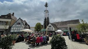 Maibaum in  Sindelfingen: Auf dem Wettbachplatz ist am 1. Mai traditionell viel los, weil auch Jahrgangstreffen stattfinden. Foto: City-Marketing