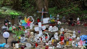 Kreuze, Figuren, Kerzen und Blumen stehen an der Stelle, wo der sechsjährige getötete Joel gefunden wurde. Foto: Bernd Wüstneck/dpa