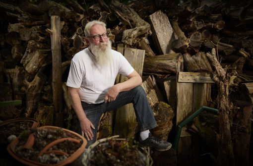 Eicke Rossow und sein Holz Foto: /Gottfried Stoppel