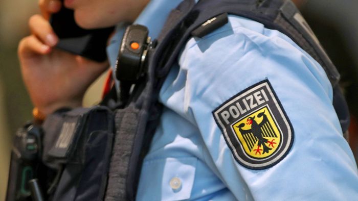 Auf Parkplatz in Ulm: Polizei beschlagnahmt über 30 Hundewelpen von Händler