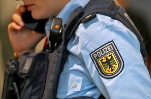 Auf Parkplatz in Ulm: Polizei beschlagnahmt über 30 Hundewelpen von Händler
