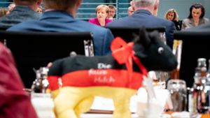 Agrargipfel bei der Kanzlerin: Angela Merkel hört die Sorgen der Landwirte Foto: dpa