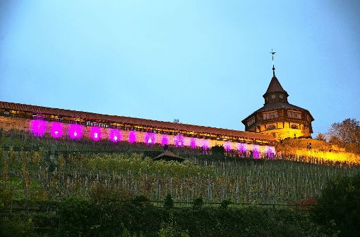 Die Esslinger Burg leuchtet für sechs Stunden lila. Foto: Horst Rudel