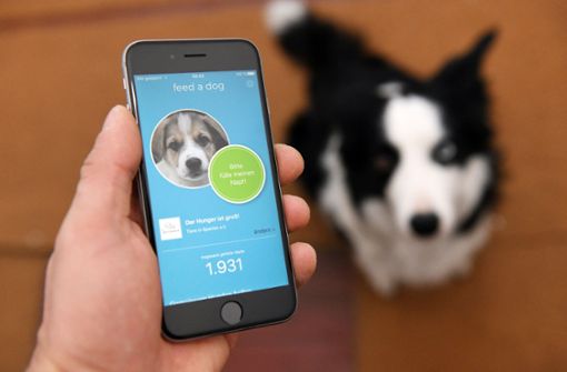 Die App ist übersichtlich und simpel aufgebaut. Sie kann fürs iPhone oder Android im App-Store runtergeladen werden. Foto: feed a dog