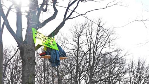Großer Einsatz: Um die vier Baumbesetzer hinunter zu holen, rückten  Beamte des SEK in Vaihingen an. Foto: /Andreas Rosar