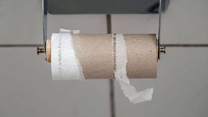 Die Hersteller von Toilettenpapier erleben seit der Pandemie eine ökonomische Achterbahnfahrt. Foto: imago/Michael Gstettenbauer