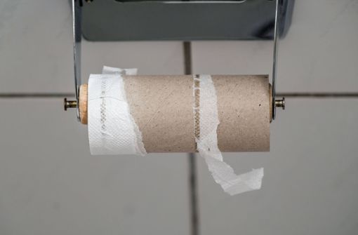 Die Hersteller von Toilettenpapier erleben seit der Pandemie eine ökonomische Achterbahnfahrt. Foto: imago/Michael Gstettenbauer