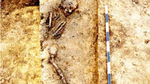 Bei den Rettungsgrabungen im Leinfelder Baugebiet Schelmenäcker wurde das Skelett einer erwachsenen Frau gefunden. Foto: Landesamt für Denkmalpflege/Archaeo-BW GmbH